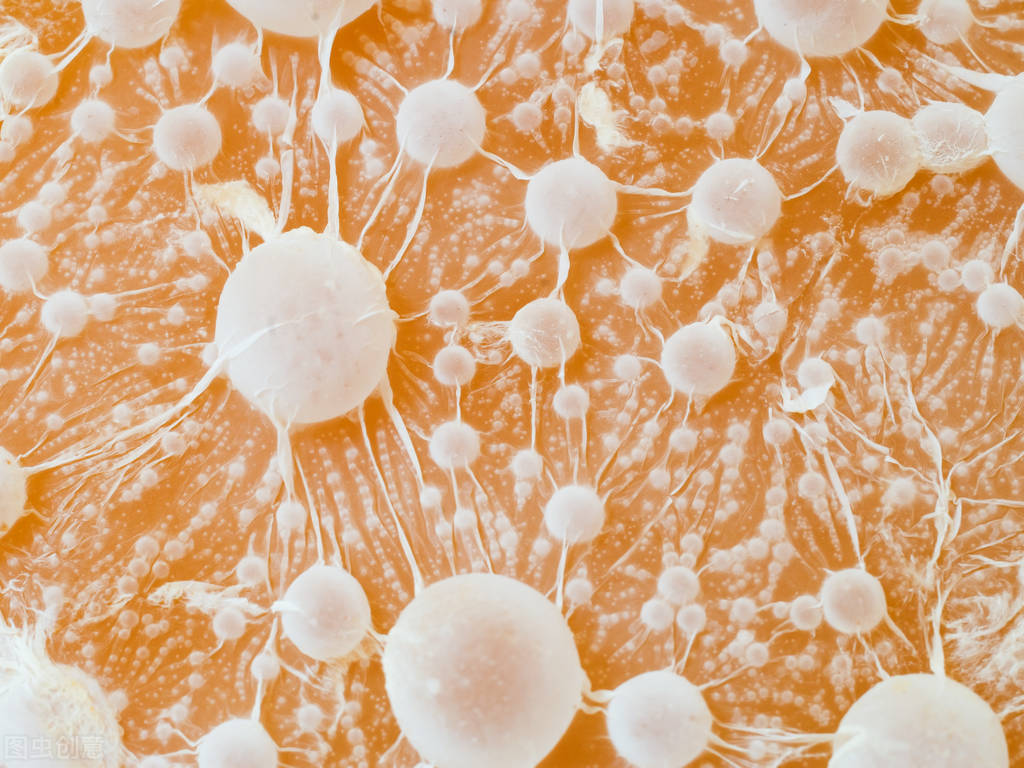 白血病的前兆头痛,白血病出现骨痛是早期还是晚期