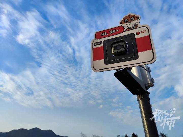 “五一”就在眼前，桂花村有点小焦虑：会有人来玩不？村里能火起来不？