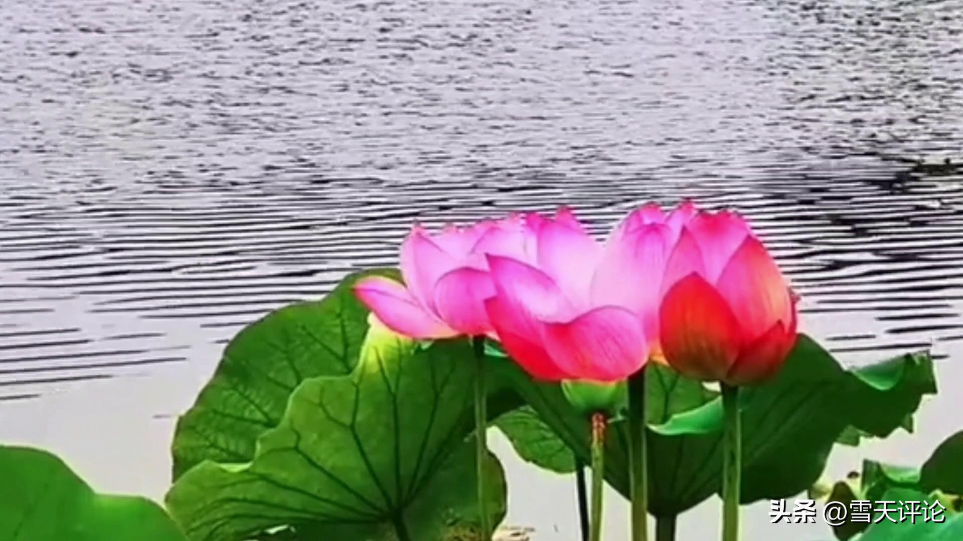 心海晨光——开起你的“自信”号，向前