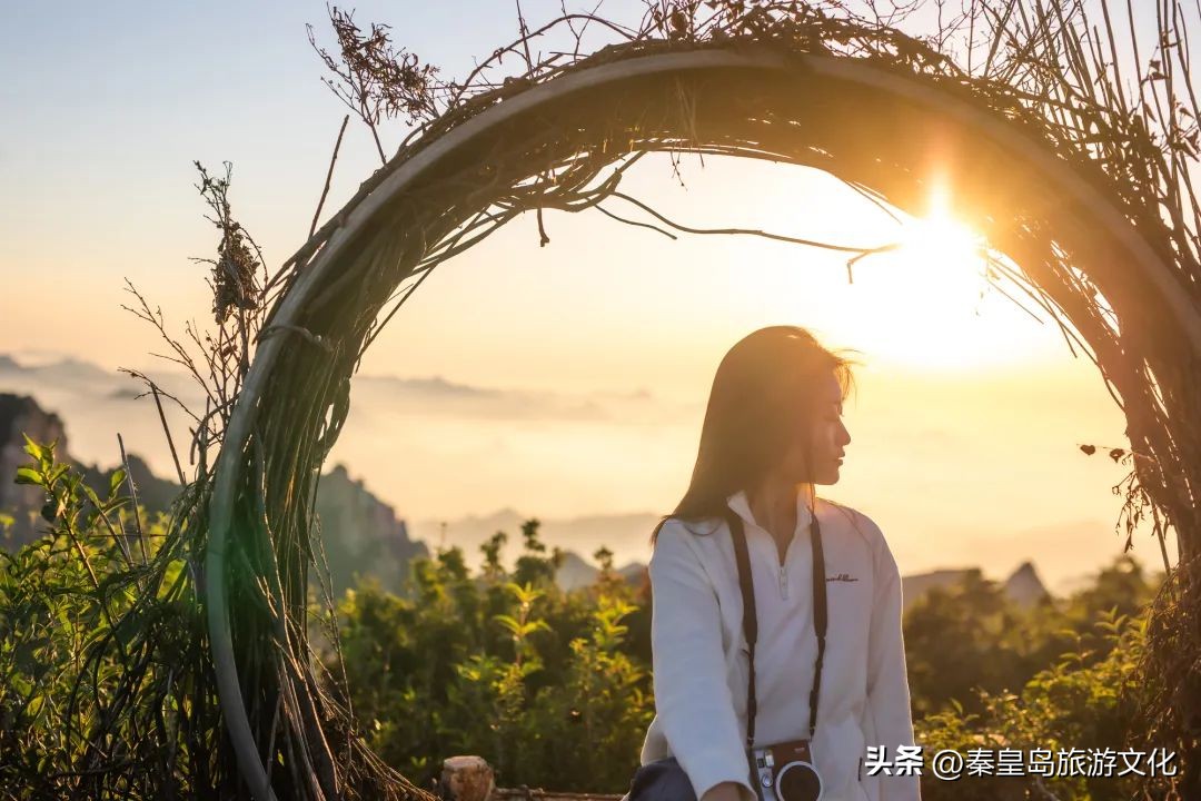 上帝打翻了秋天的调色盘,上帝打翻了调色盘诗句