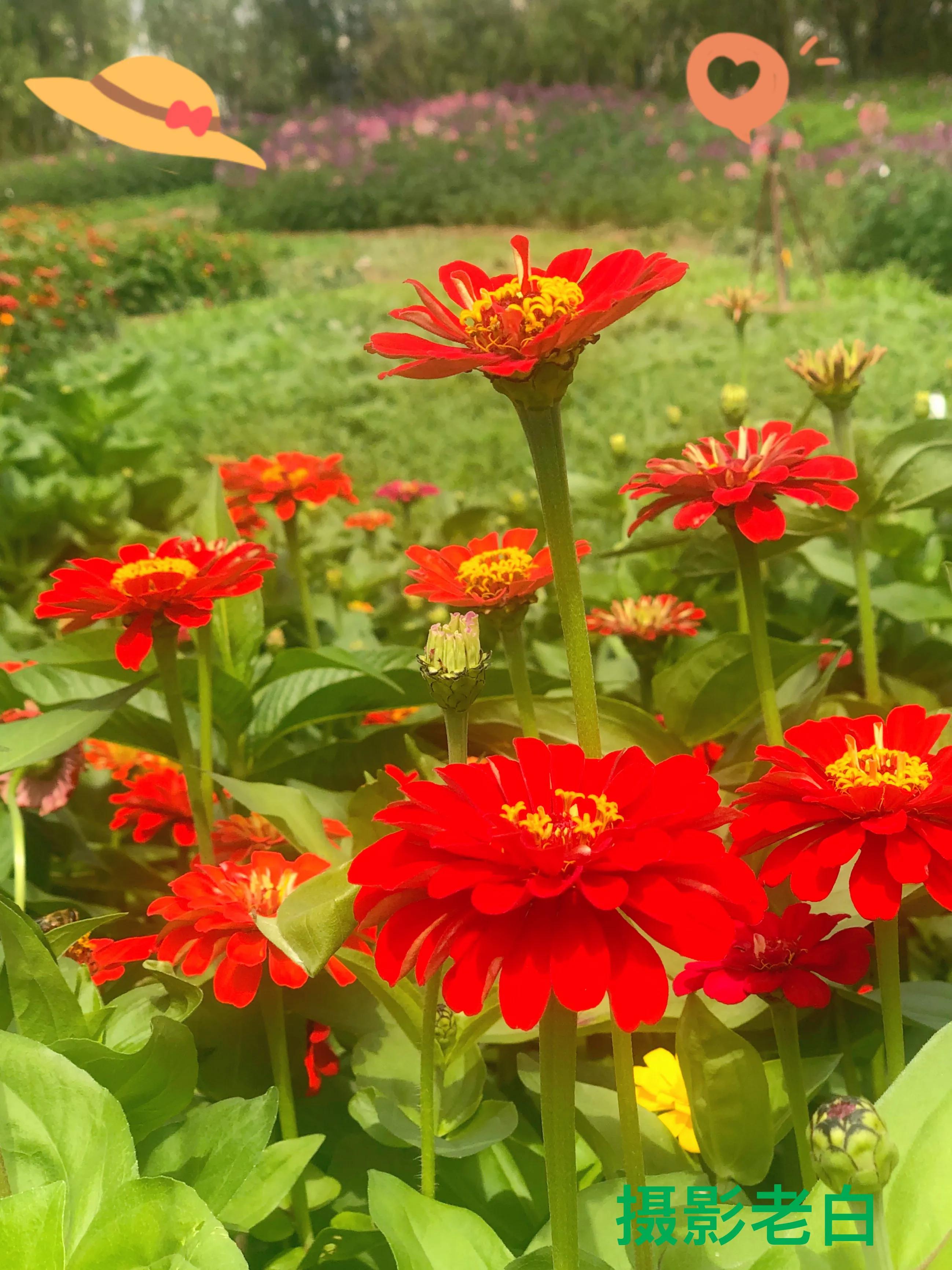 生活的极致就是化繁为简,极简是一种生活态度越简单越精致