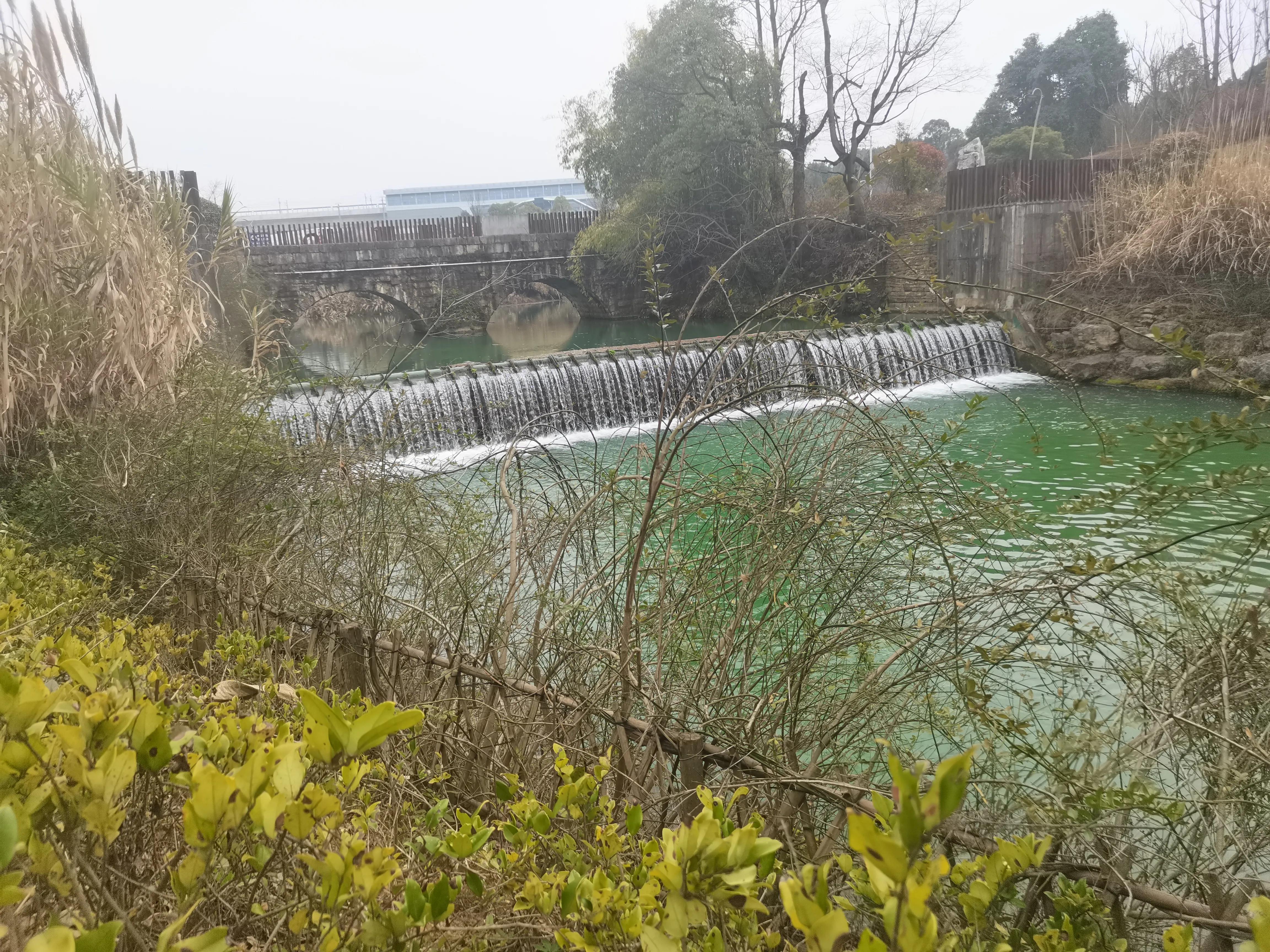 贵阳双龙生态公园怎么样,贵阳菊海双龙生态公园房价