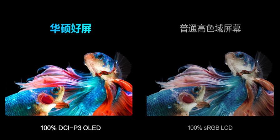 华硕无双evo认证12代i5oled,五千能买华硕吗