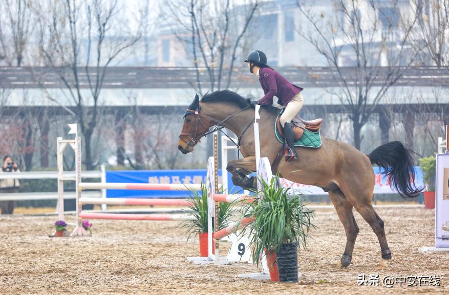 2022年安徽省青少年马术锦标赛暨第一届全国学生（青年）运动会马术运动资格选拔赛开幕