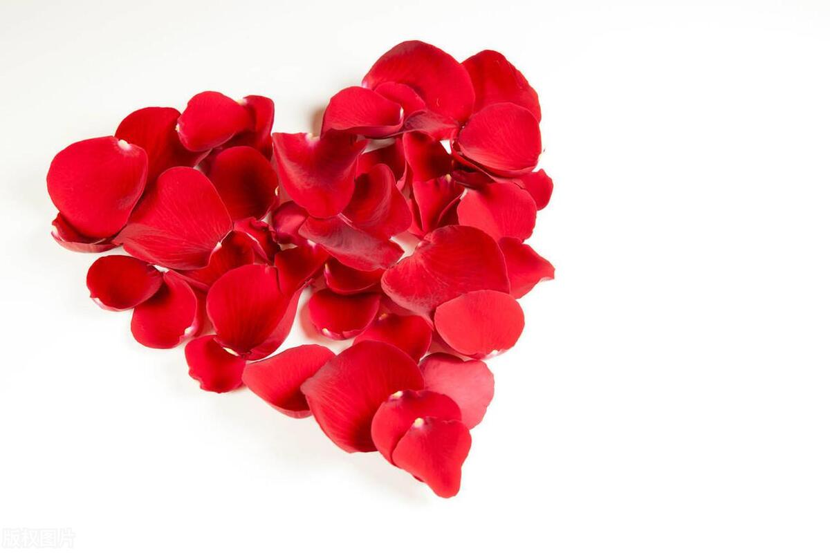 爱情哪有标准答案需要自己寻找,为爱情找一句标准答案