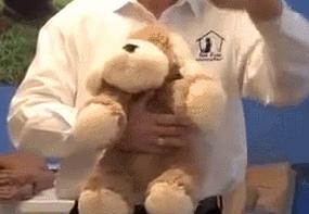 猫咪吃东西被噎住,猫咪吃东西卡住怎么救