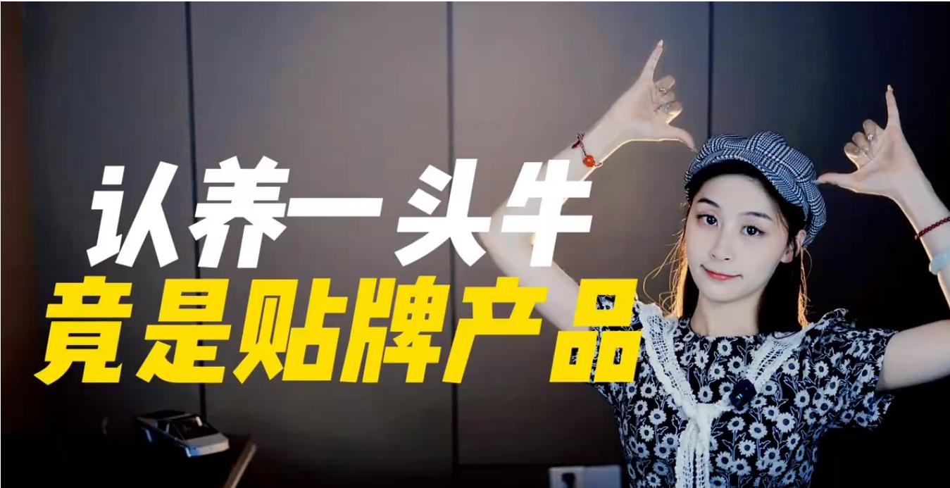 哪些网红产品不能买,网红产品真的能卖吗