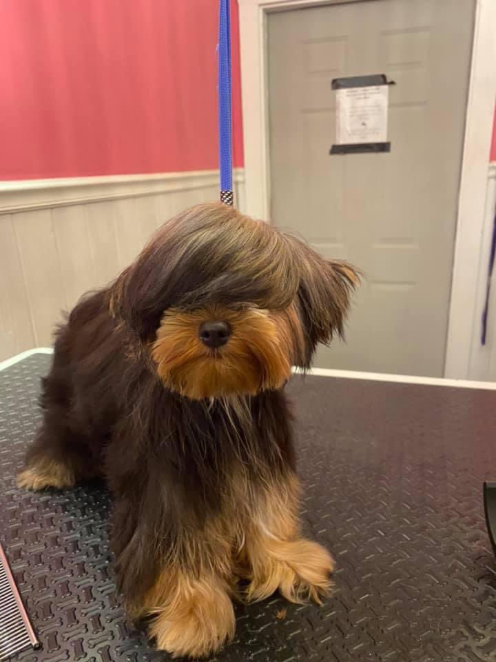 缇庡浗灏忓摜鐐硅瘎瑙嗛,缇庡浗灏忓摜鐐硅瘎