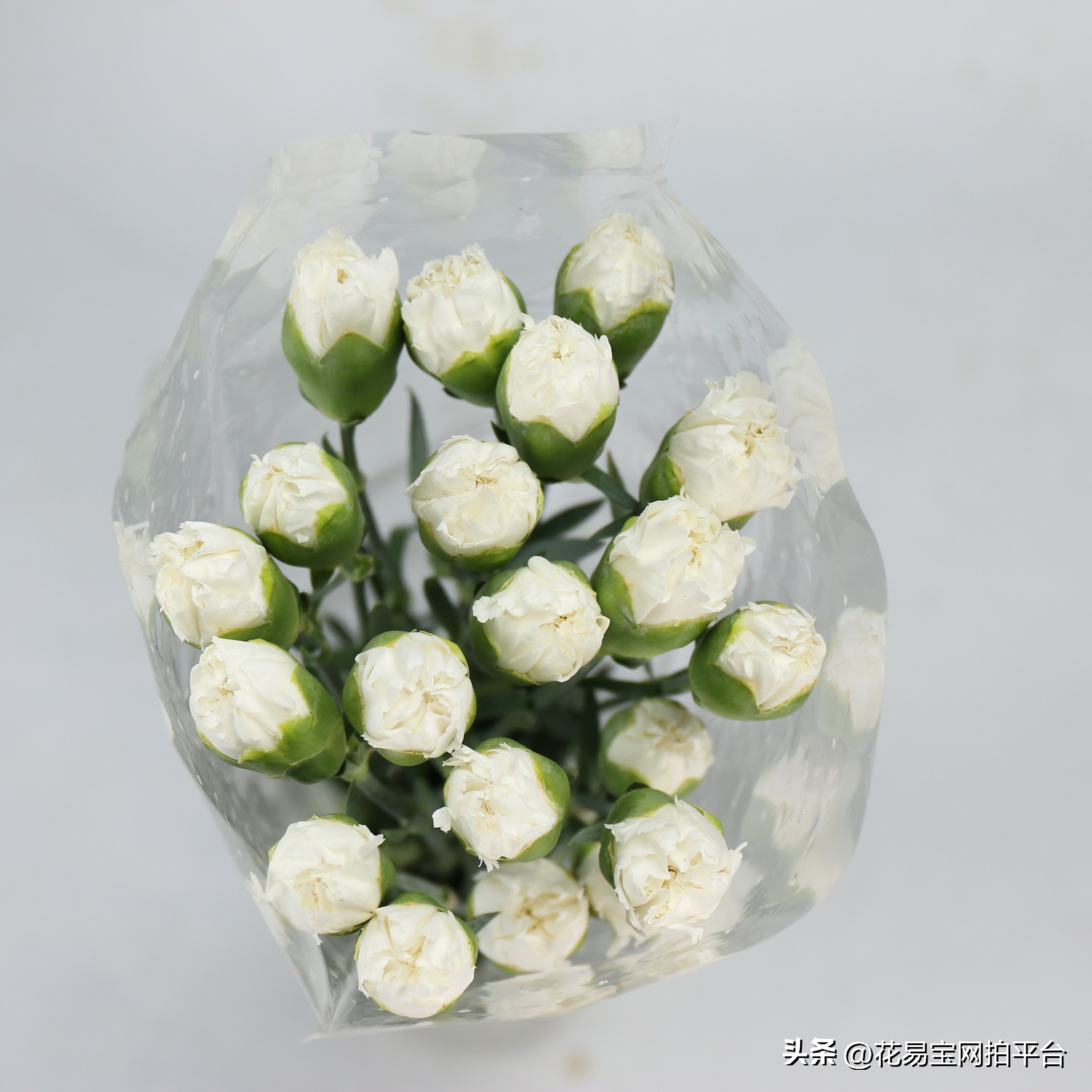 女神节快到了，哪些花材值得备货？内含优质卖家推荐！