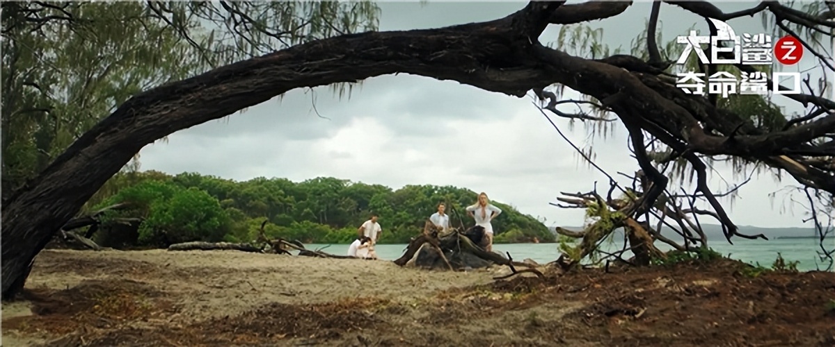 大白鲨之夺命鲨口最后谁活了下来,大白鲨之夺命鲨口电影剧情介绍