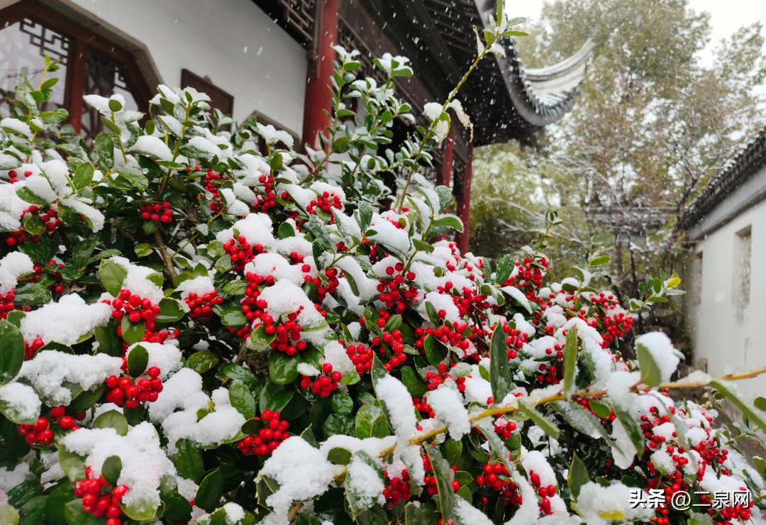 无锡新区鸿山旅游攻略,无锡鸿山有什么好玩的