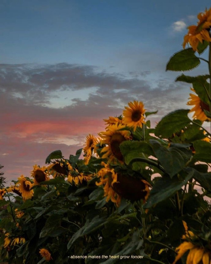 人际关系圈子决定你的身价,人与人之间的关系靠钱维持吗