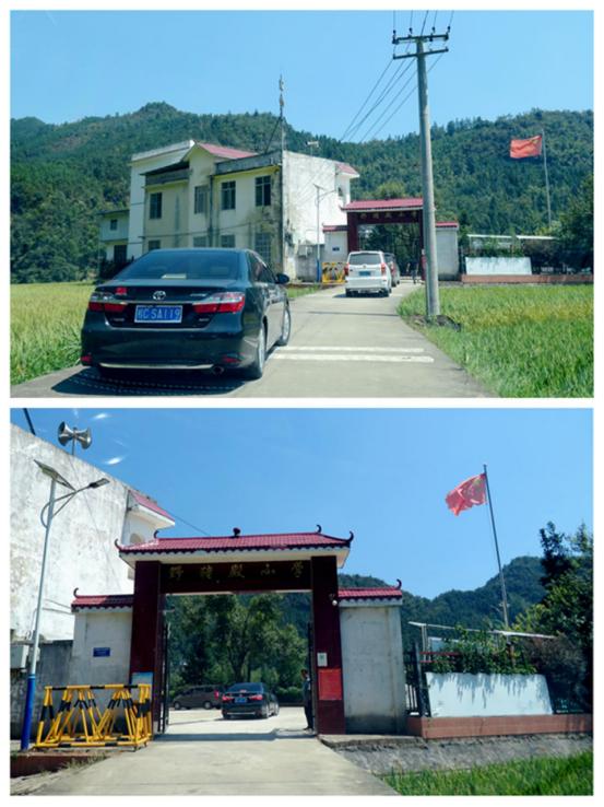 一支“119”车队，直奔桂林灌阳野猪殿，到底感动谁？