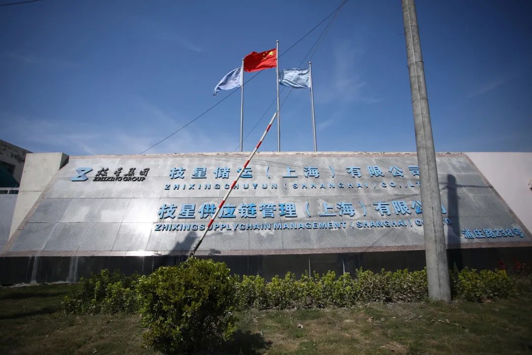 枝星科技发展上海有限公司收入,枝星科技发展上海