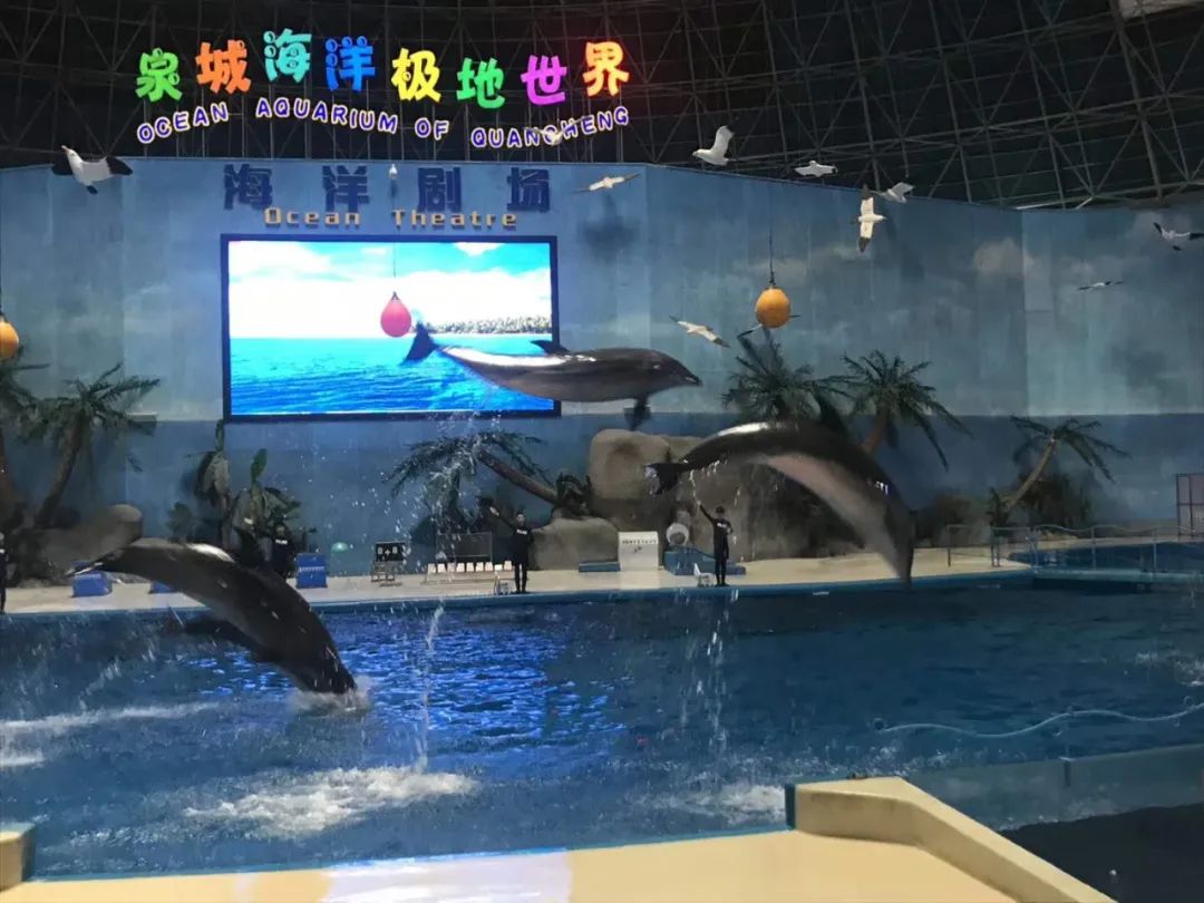 欧乐堡海洋极地公园攻略,欧乐堡最全游玩攻略请收好