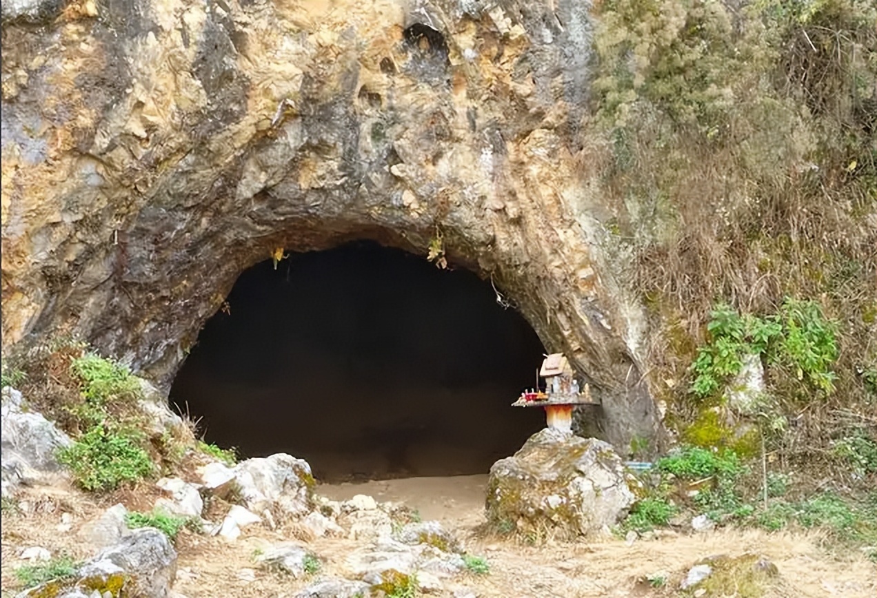 野生蟒蛇为什么不攻击人,巨蟒蛇蜕皮的过程