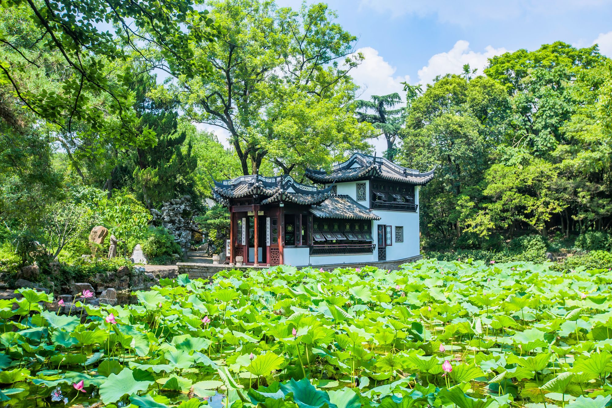 上海有几个古猗园,上海古猗园好玩吗