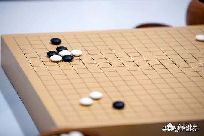韩国棋手申真谞棋力是世界第一吗,申真谞在韩国内棋战胜率