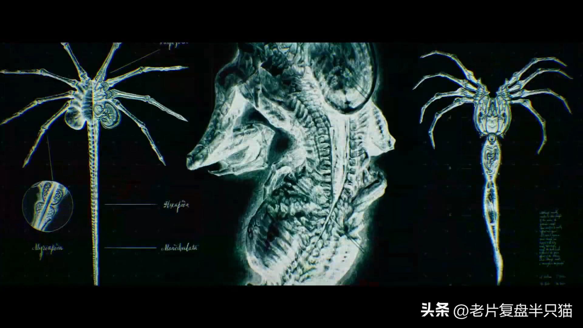 仿生人大卫的秘密,仿生机器人大卫