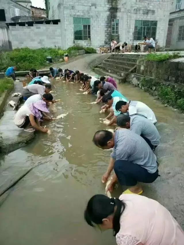 为什么要“迟鸭子”过七月半