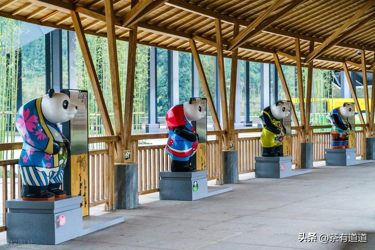 川藏南线茶马古道,四川荥经茶马古道路线图