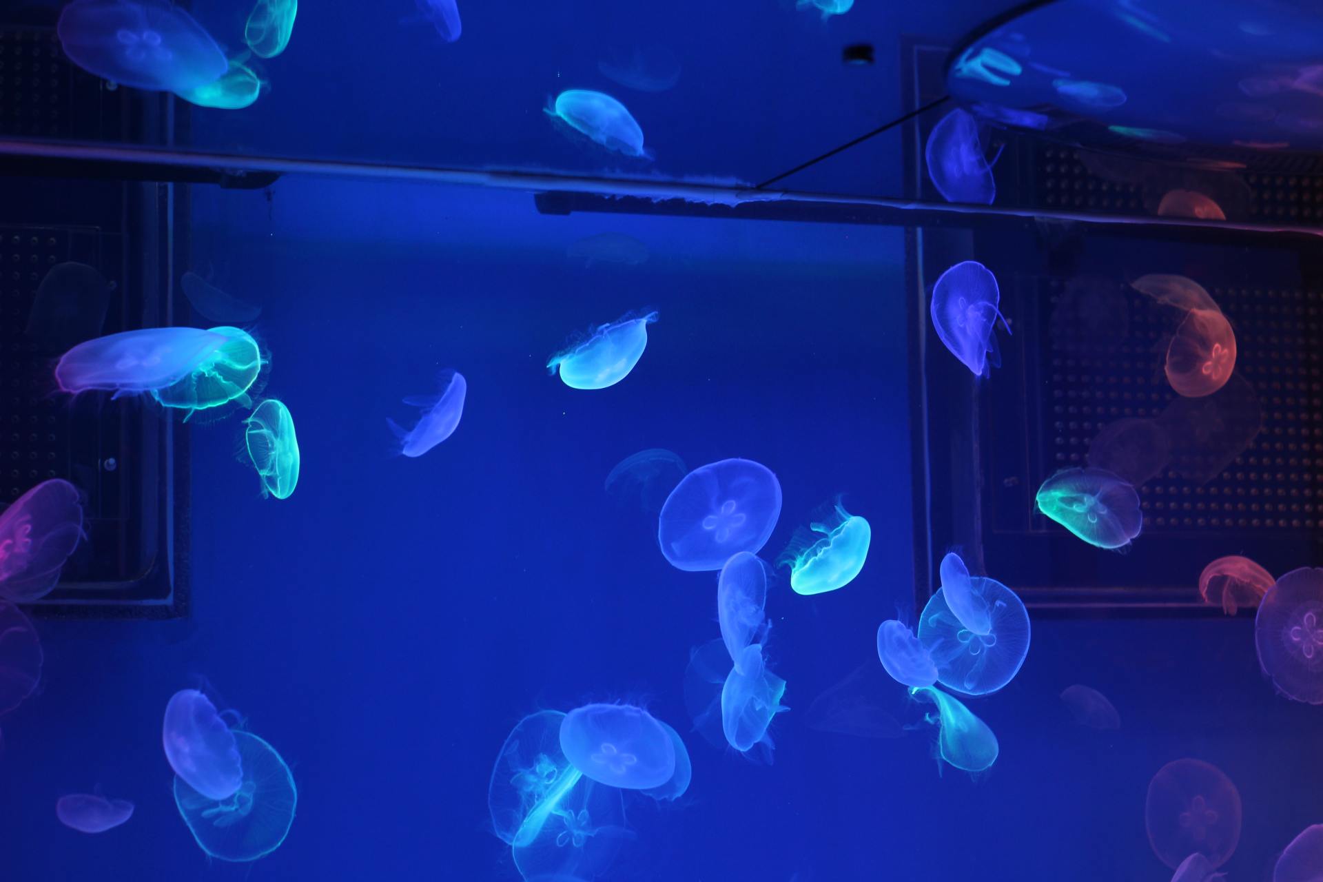 数码摄影入门器材推荐,穷玩摄影推荐预算100到300单反