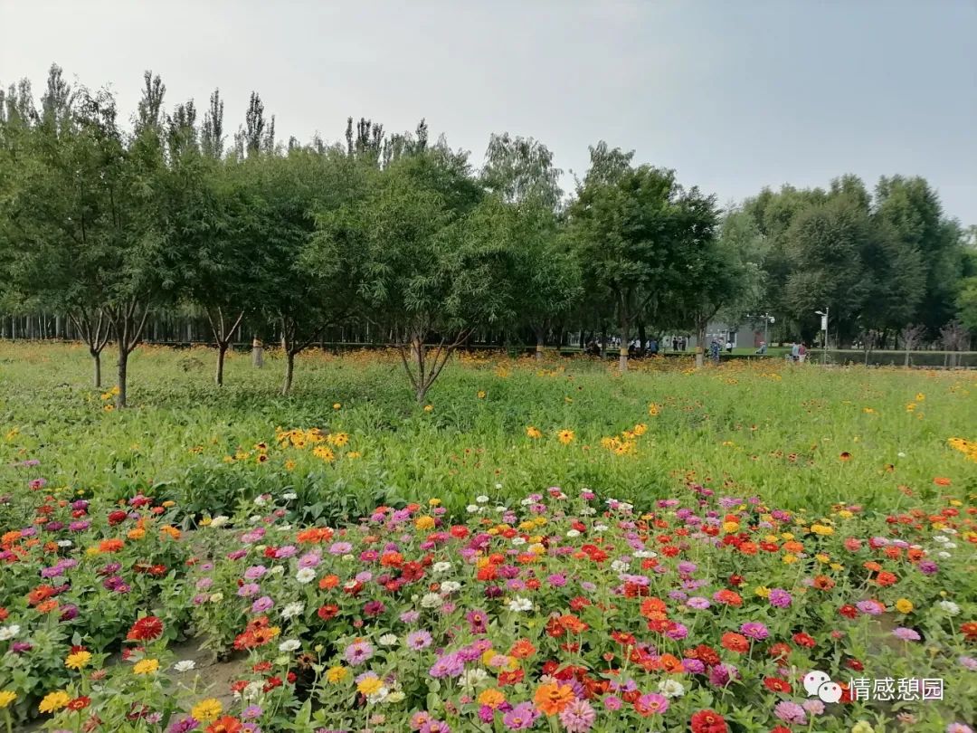 一段路一段情的唯美句子,一段路一段缘