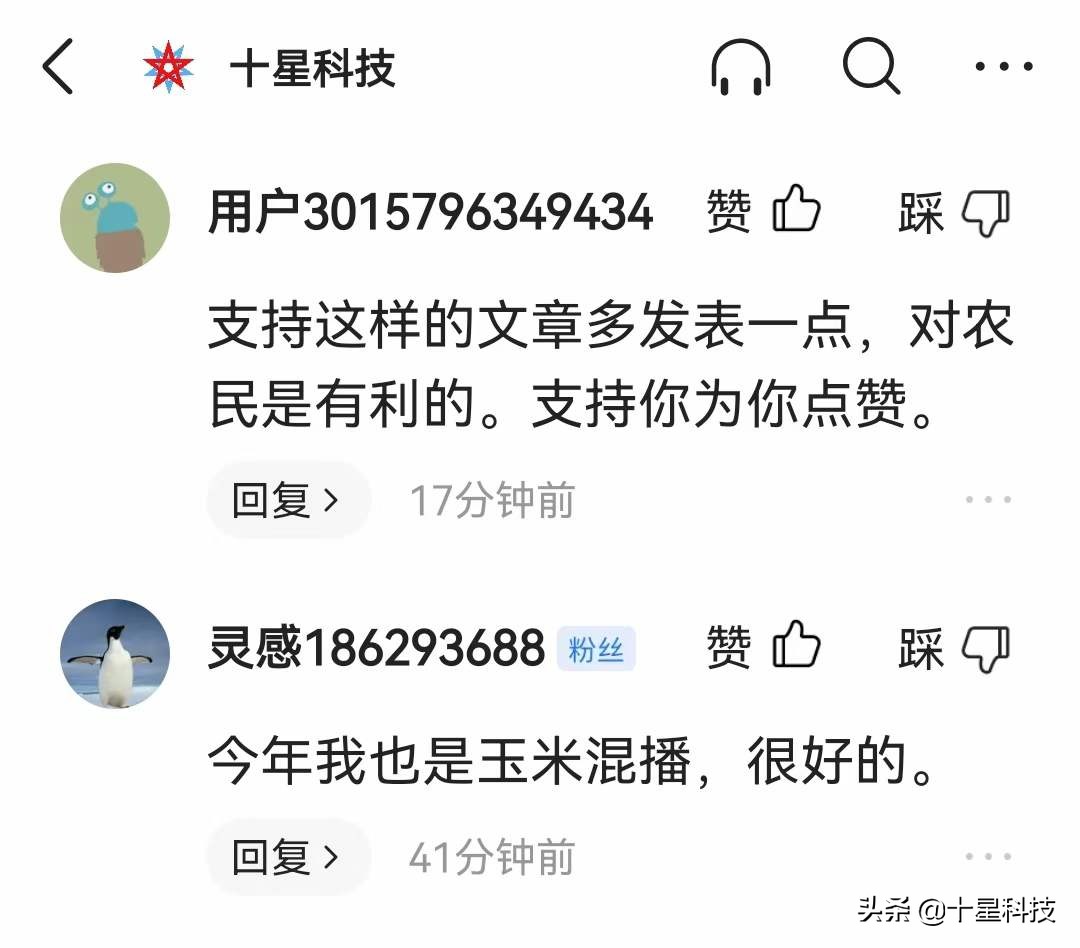 玉米品种高抗与高感的区别,高抗茎腐病的夏播玉米种