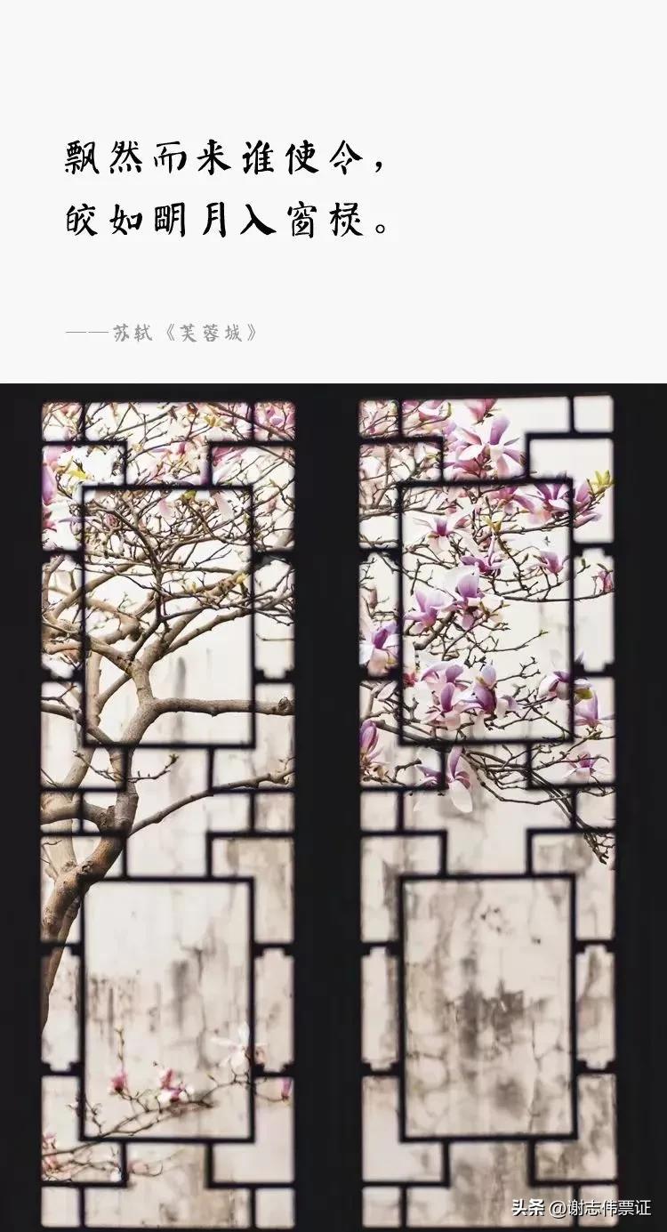 苏州古典园林各个景观特色,苏州园林风景美感极致