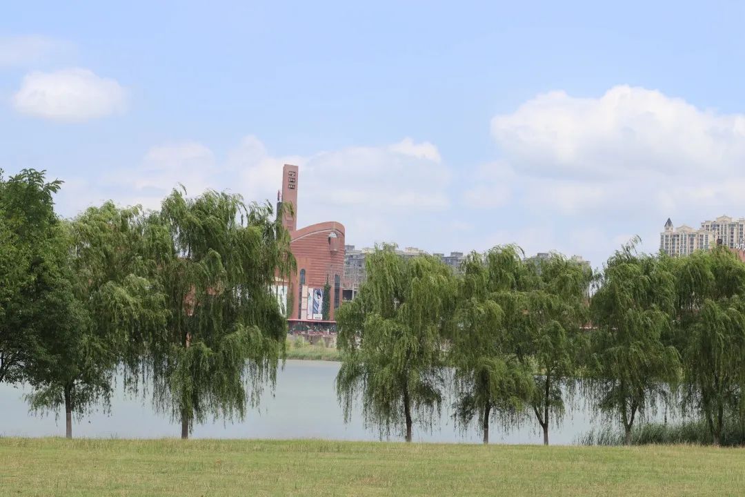 合肥滨湖新区历史房价涨幅,合肥涨幅最高的区域