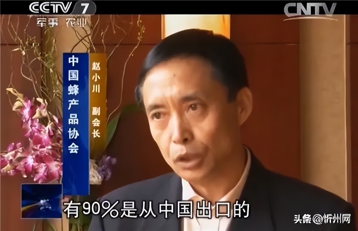 日本老人的长寿秘密,日本人长寿的奥秘发现之旅