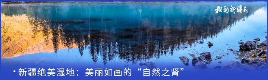 入疆旅游攻略,环疆旅游攻略大全