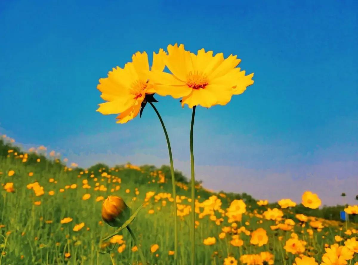 46岁女人自述：母亲病逝三年后，感谢父亲娶了我小姨