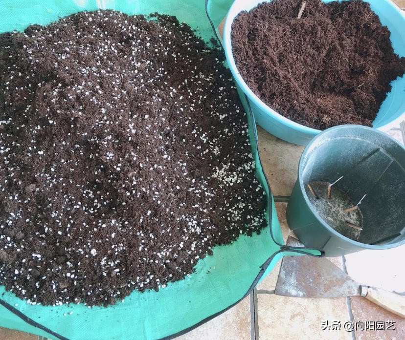 进口泥炭土哪个好,进口十大泥炭土排行