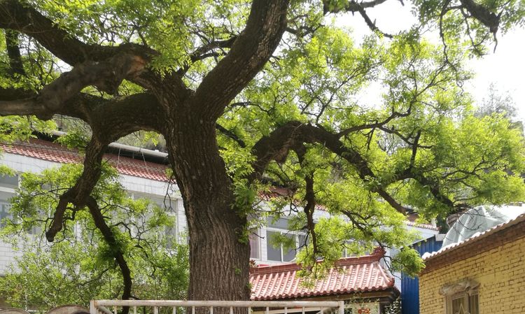 争做新时代的好少年队日活动总结,喜迎二十大争做好队员建队日主题