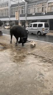 “姑娘，你知道衣服上的字是什么意思吗？”哈哈哈自信的姑娘最美