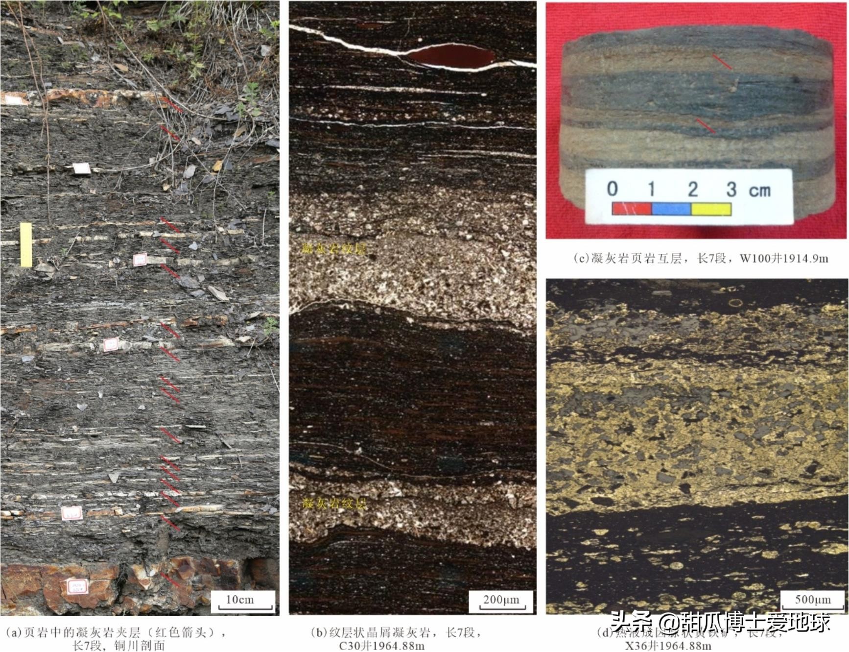 页岩油的形成过程,什么是页岩油的典型特征