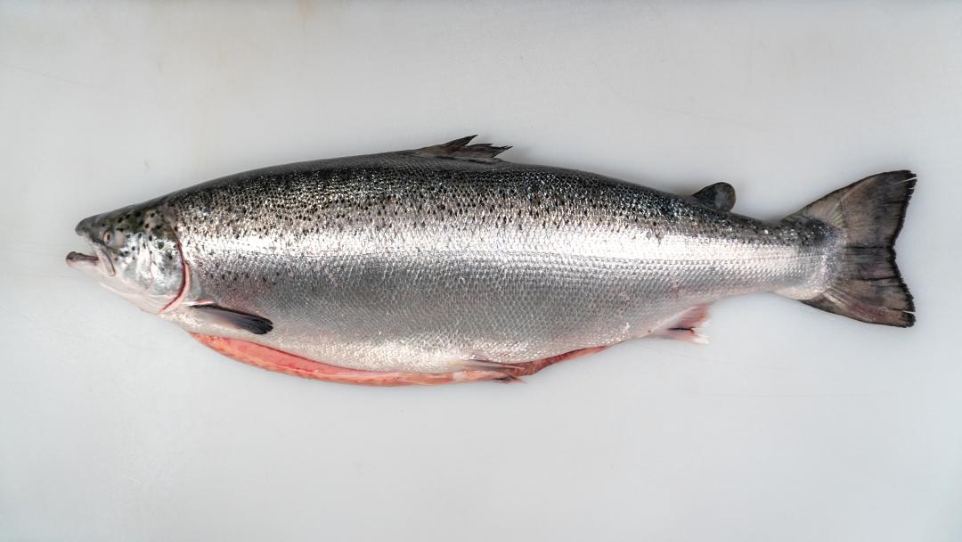 【专家共识】《血脂异常医学营养管理专家共识》发布