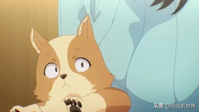 2024一月异世界新番排行,2023年十一月异世界新番合集