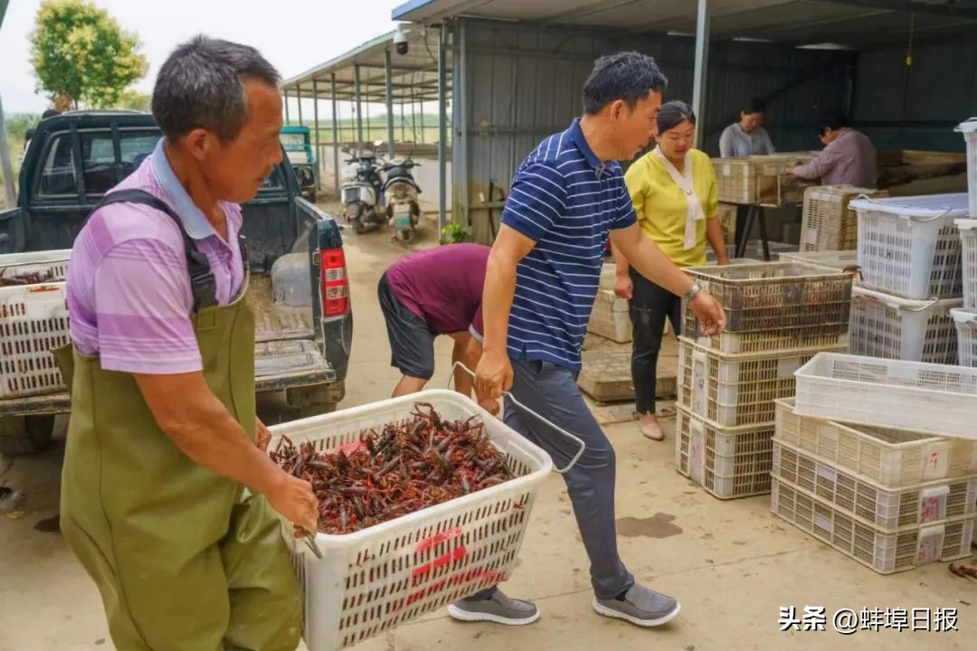 蚌埠龙虾史,蚌埠龙虾在哪里