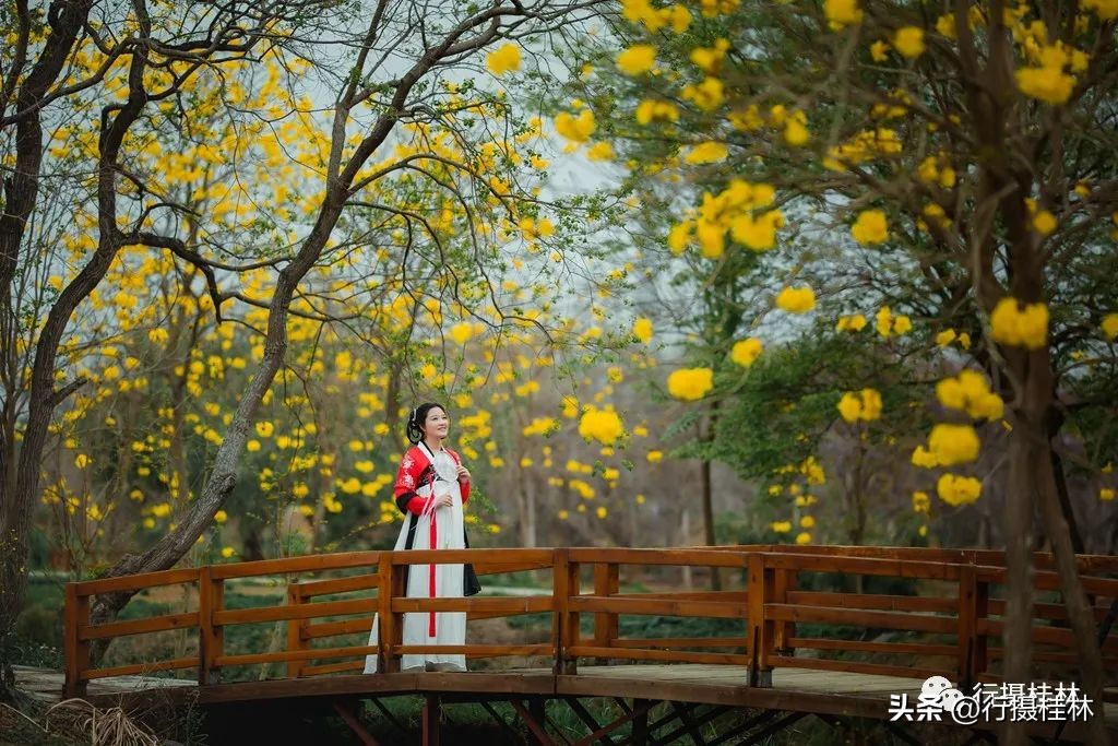 花仙子风铃,风铃花仙子