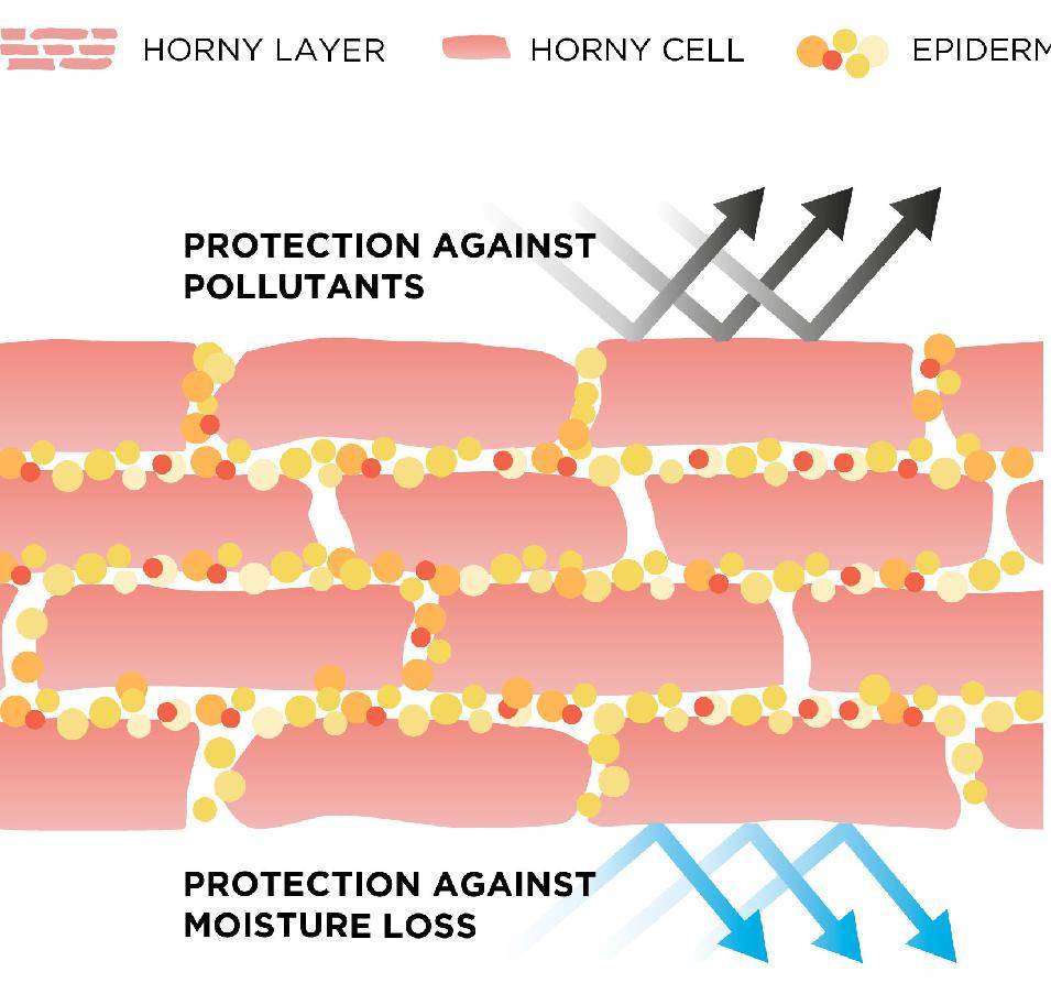 用护肤品感觉刺痛是缺水吗,护肤时刺痛是皮肤缺水吗