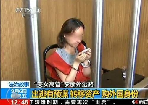 女高管被抓事件,美女高管携款五亿潜逃