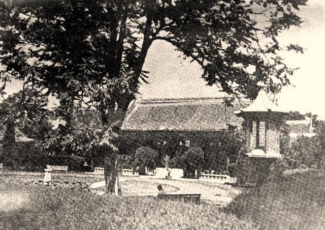 日军日记：*安妇慰**不服从管教，我很愤怒，用*刀刺**插入她的*体下**