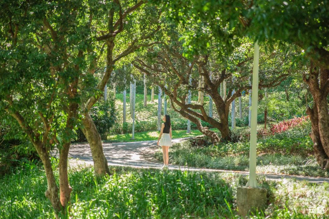 深圳值得去的70个公园你去过几个,深圳最值得去的七大主题公园