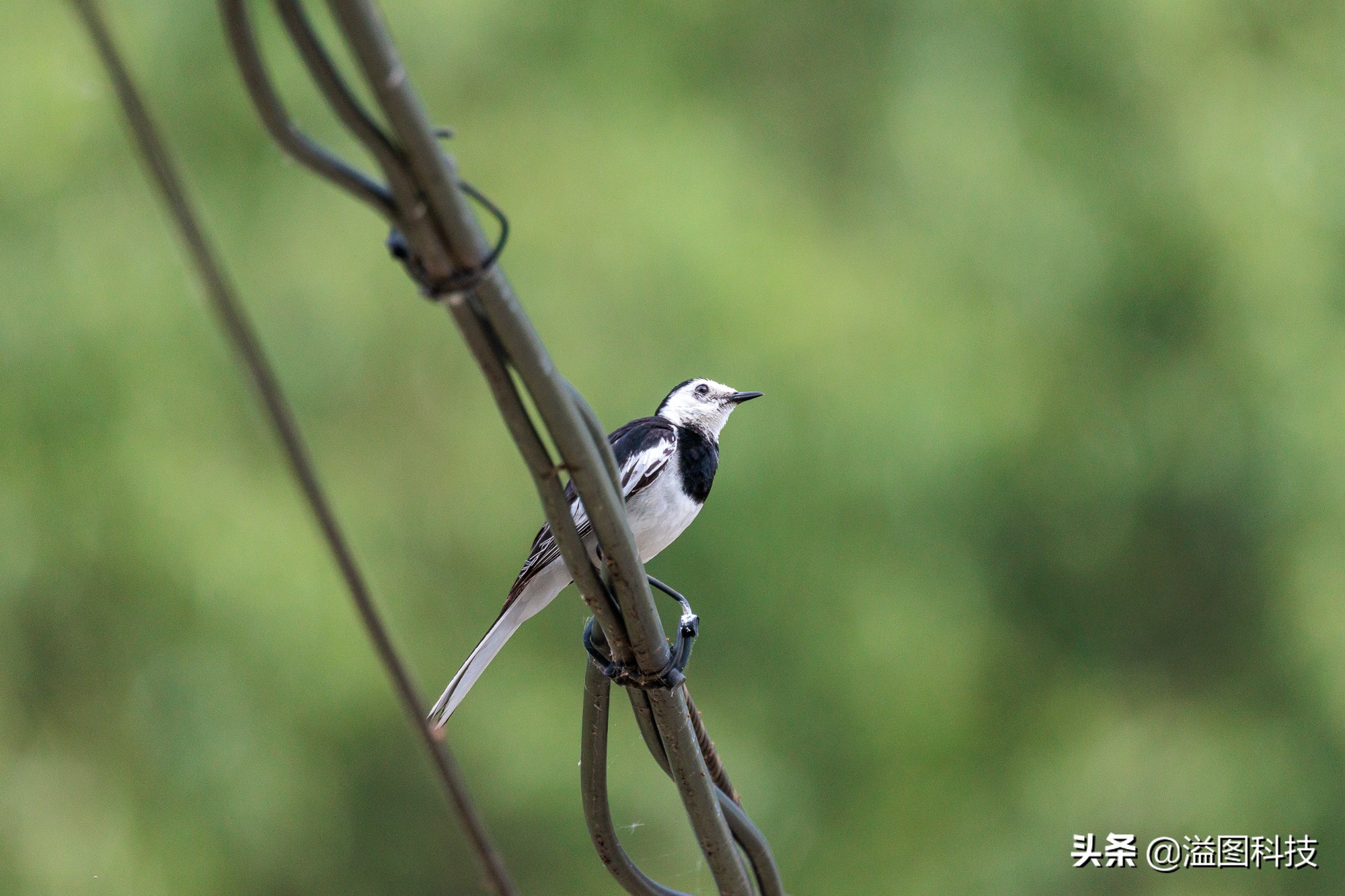 eosr7微单详细测评,佳能r7这款相机真的是值得买吗
