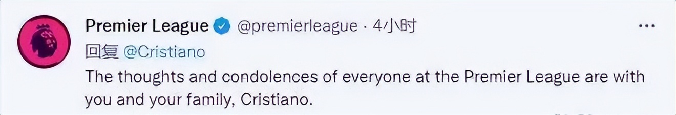c罗龙凤胎儿子不幸夭折有谁安慰,c罗女友生了几胞胎