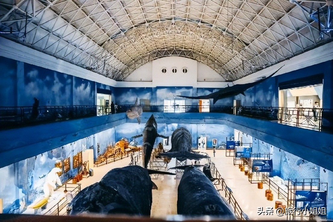 夏日海边微醺氛围感,滨城风光秀丽浪漫气息爆表