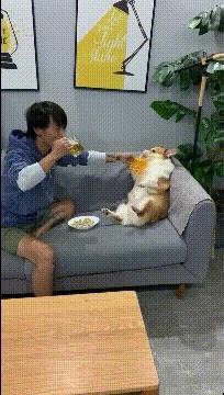 “老婆出差在宾馆给我发照片，桌子上那个是胶水吗？”哈哈哈哈