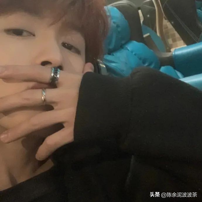 可爱的猫咪头像和小狗头像,团子头像可爱微信头像